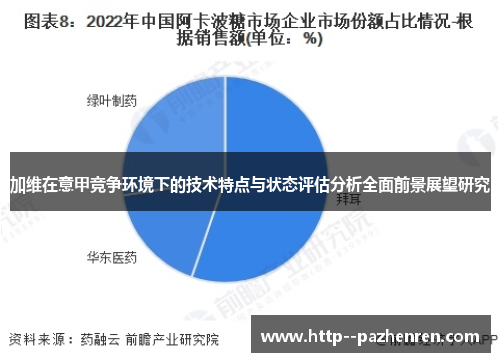 加维在意甲竞争环境下的技术特点与状态评估分析全面前景展望研究